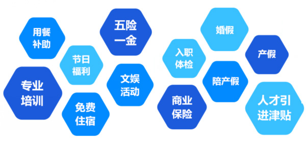 提供全面、系統、專業的培訓和廣闊的<br>職業發展空間和提升機會